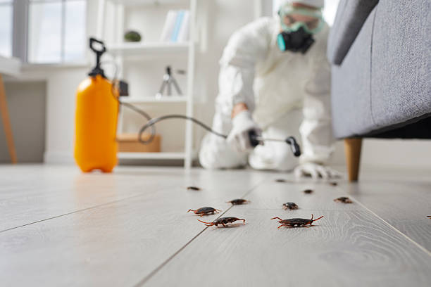 Trusted Fumigation Services service in Mount Kisco, NY - Nex Pest Control