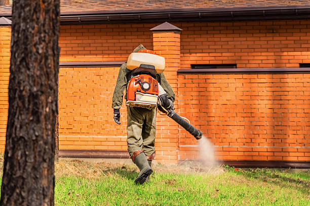 Trusted Bed Bug Control service in Mount Kisco, NY - Nex Pest Control